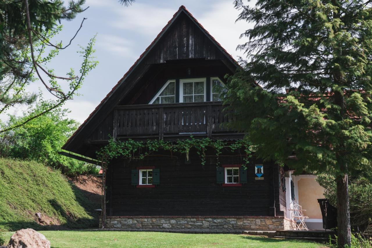 Apartamento Ferienhaus Am Keltenkogel Großklein Exterior foto